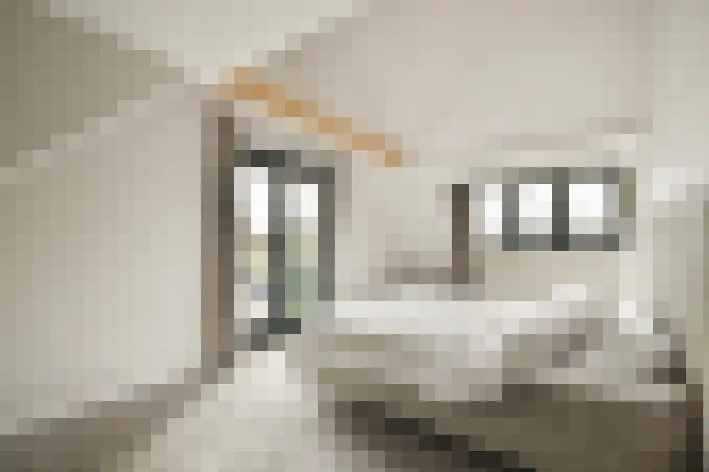 Oosterweg M 34 Purmer thumbnail 21