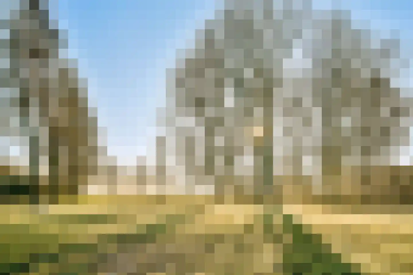 Oosterweg M 34 Purmer thumbnail 29