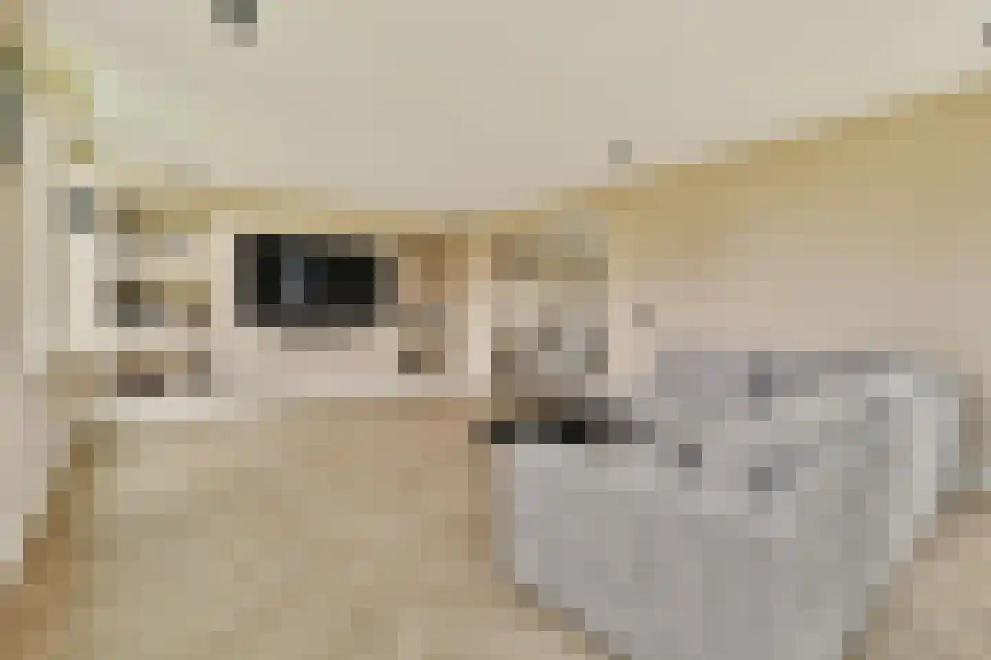 Oosterweg M 34 Purmer thumbnail 9