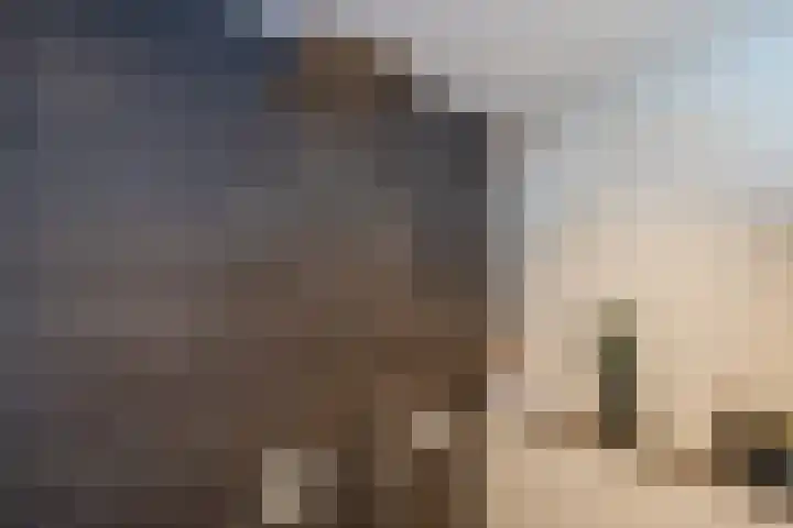 Oosterweg Noord 3 Heerhugowaard thumbnail 43