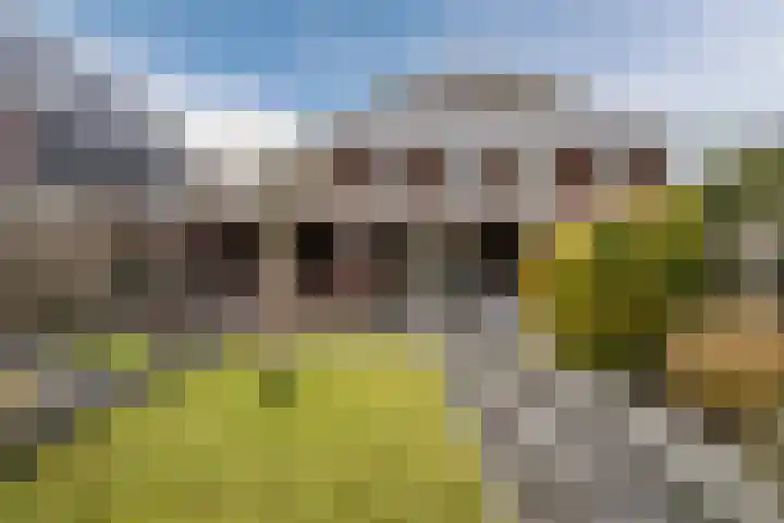 Oosterweg Noord 3 Heerhugowaard thumbnail 58
