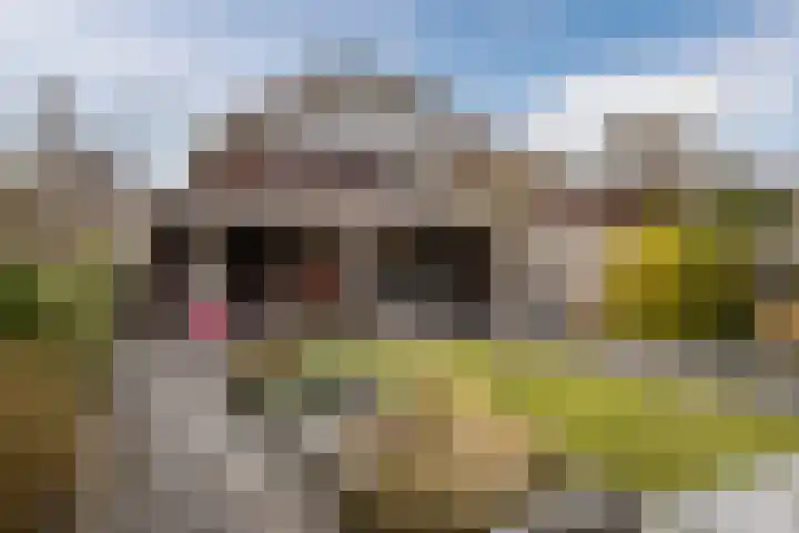 Oosterweg Noord 3 Heerhugowaard thumbnail 59