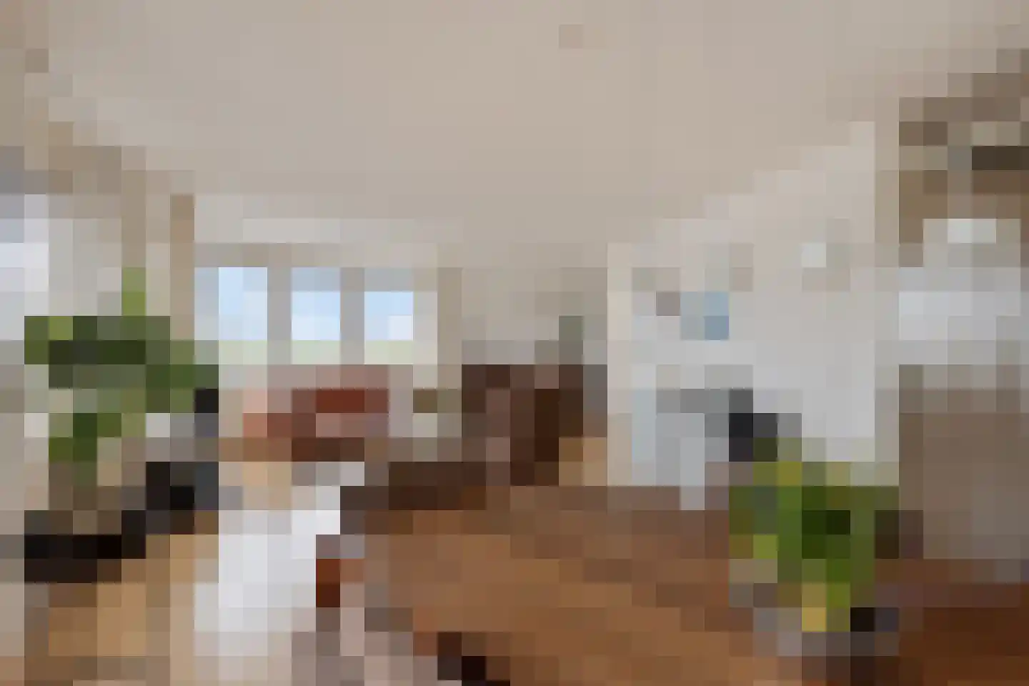 Oosterweide 79 Castricum thumbnail 27
