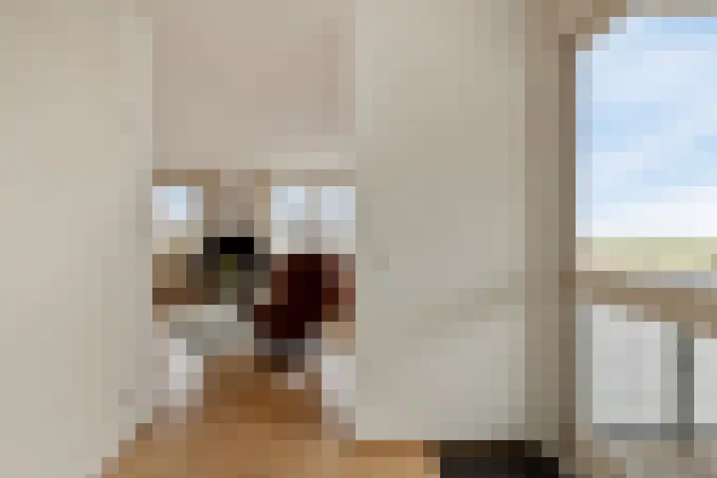 Oosterweide 79 Castricum thumbnail 28