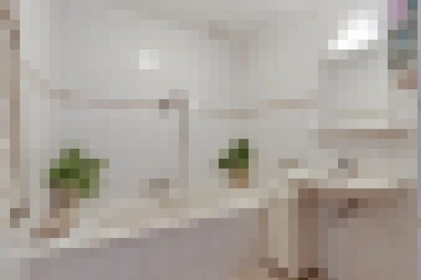 Oosterweide 79 Castricum thumbnail 35