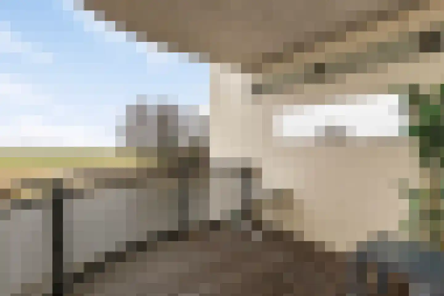 Oosterweide 79 Castricum thumbnail 4