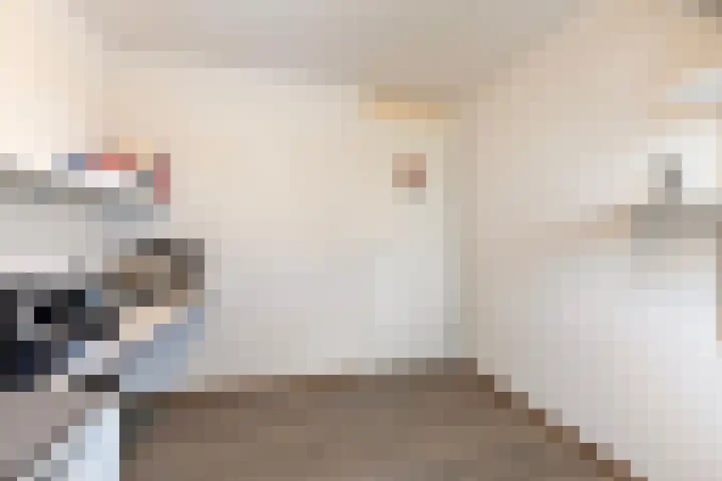 Oosterweide 79 Castricum thumbnail 41
