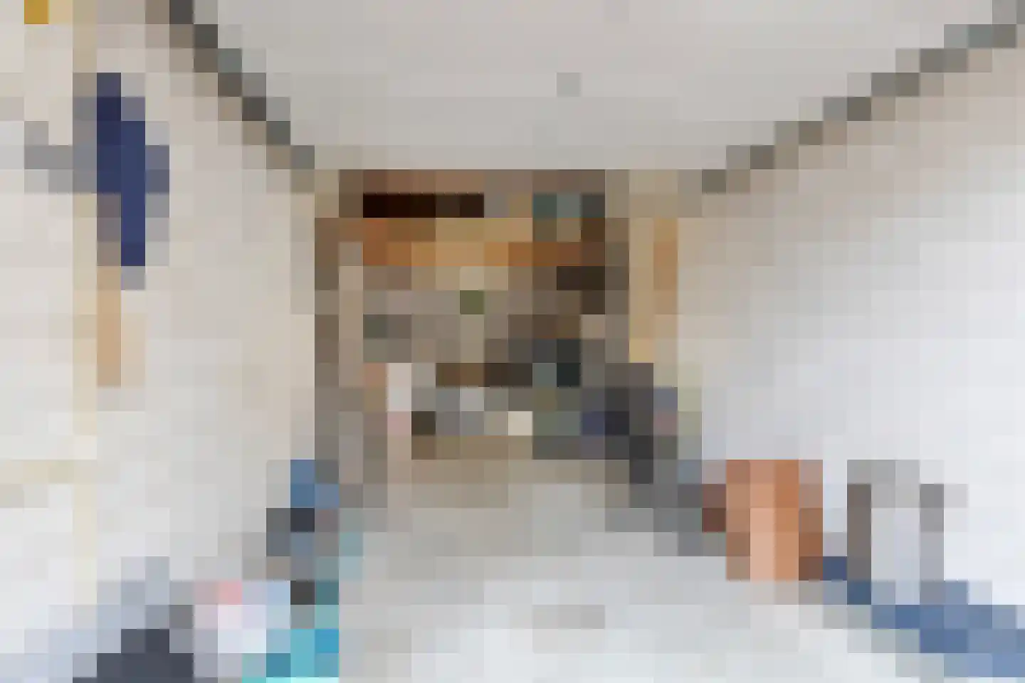 Oosterweide 79 Castricum thumbnail 46