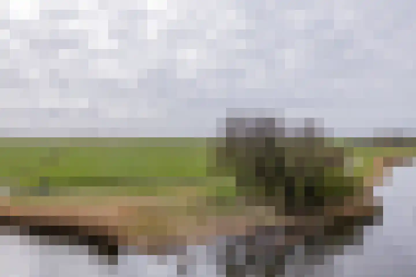 Oosterweide 95 Castricum thumbnail 25