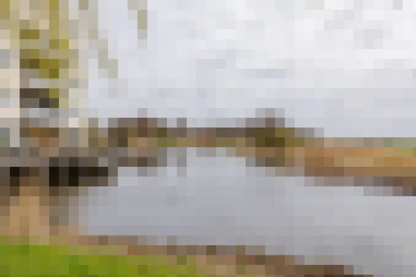 Oosterweide 95 Castricum thumbnail 5