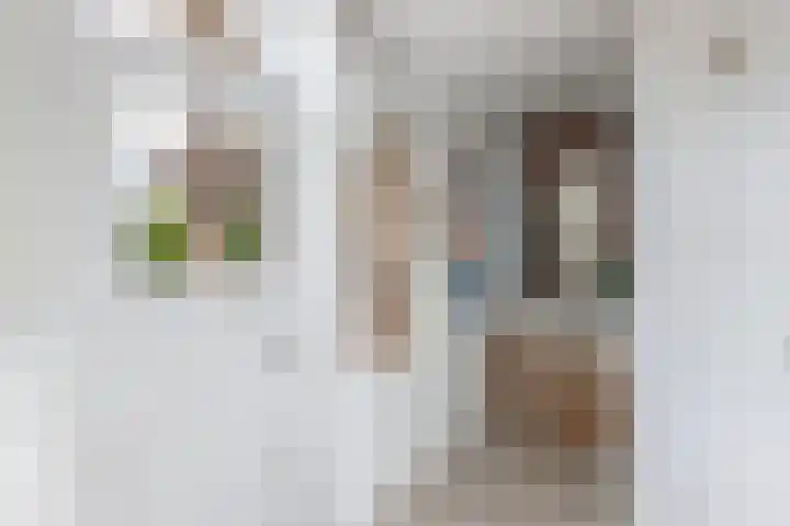 Oosterweidestraat 39 Schermerhorn thumbnail 22