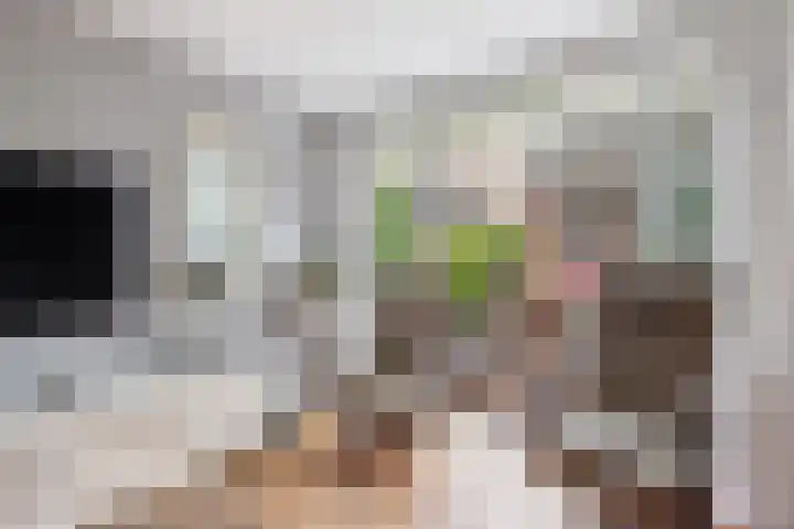 Oosterweidestraat 39 Schermerhorn thumbnail 9