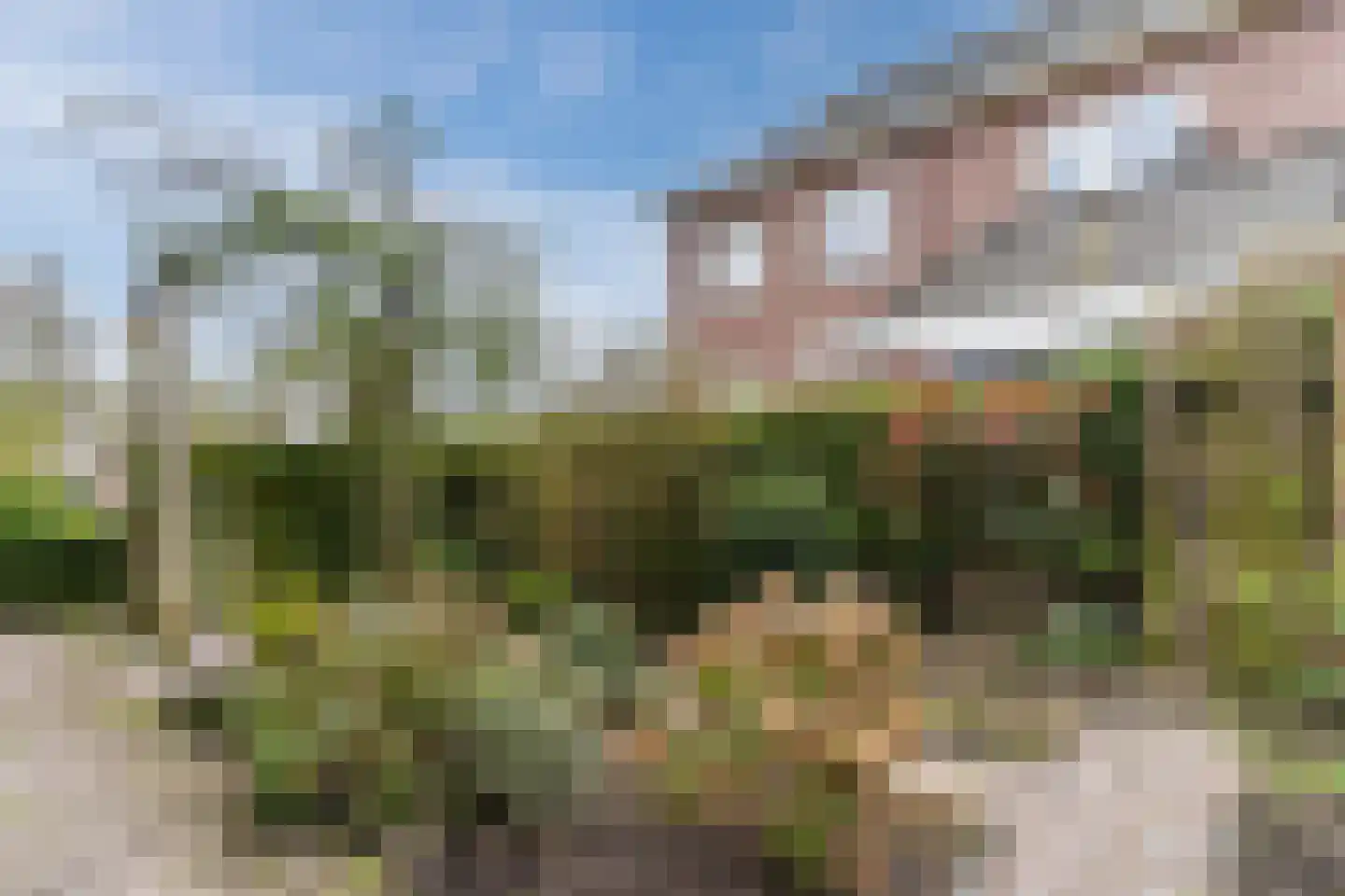 Oosterweidestraat 48 Schermerhorn thumbnail 42