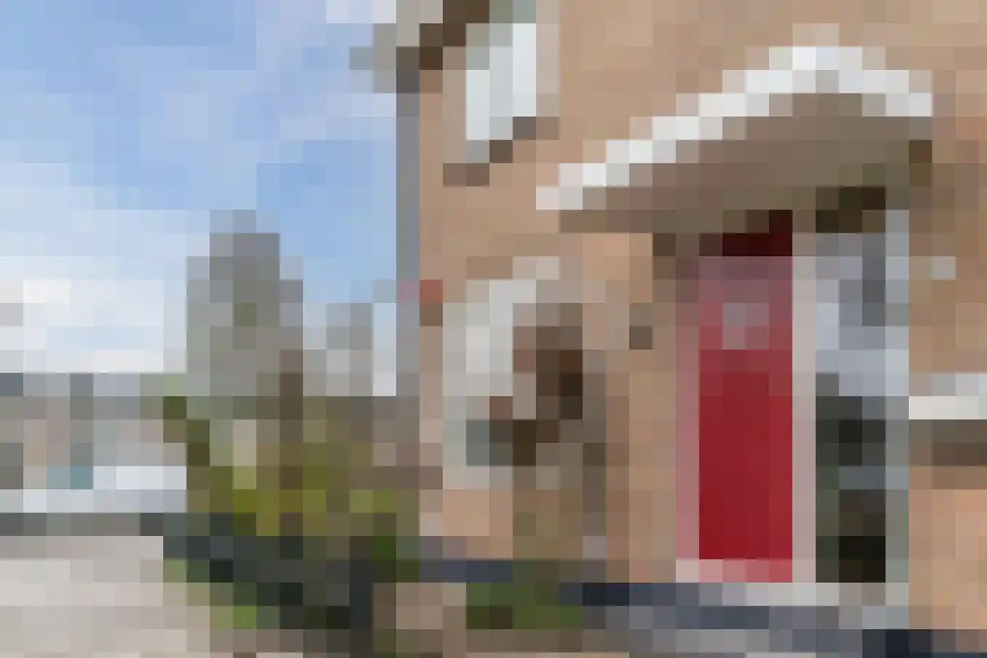 Oosterweidestraat 48 Schermerhorn thumbnail 45