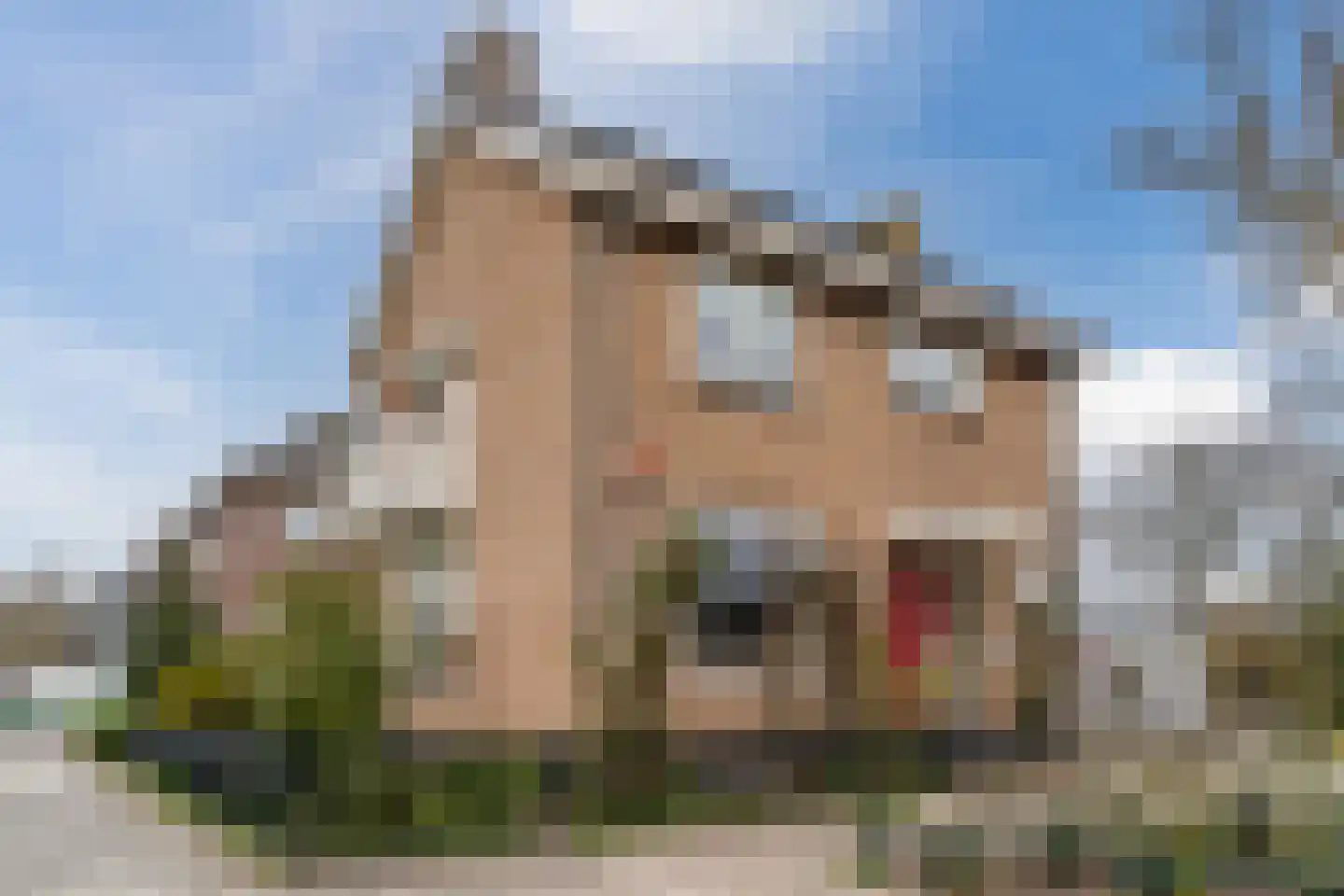 Oosterweidestraat 48 Schermerhorn thumbnail 46