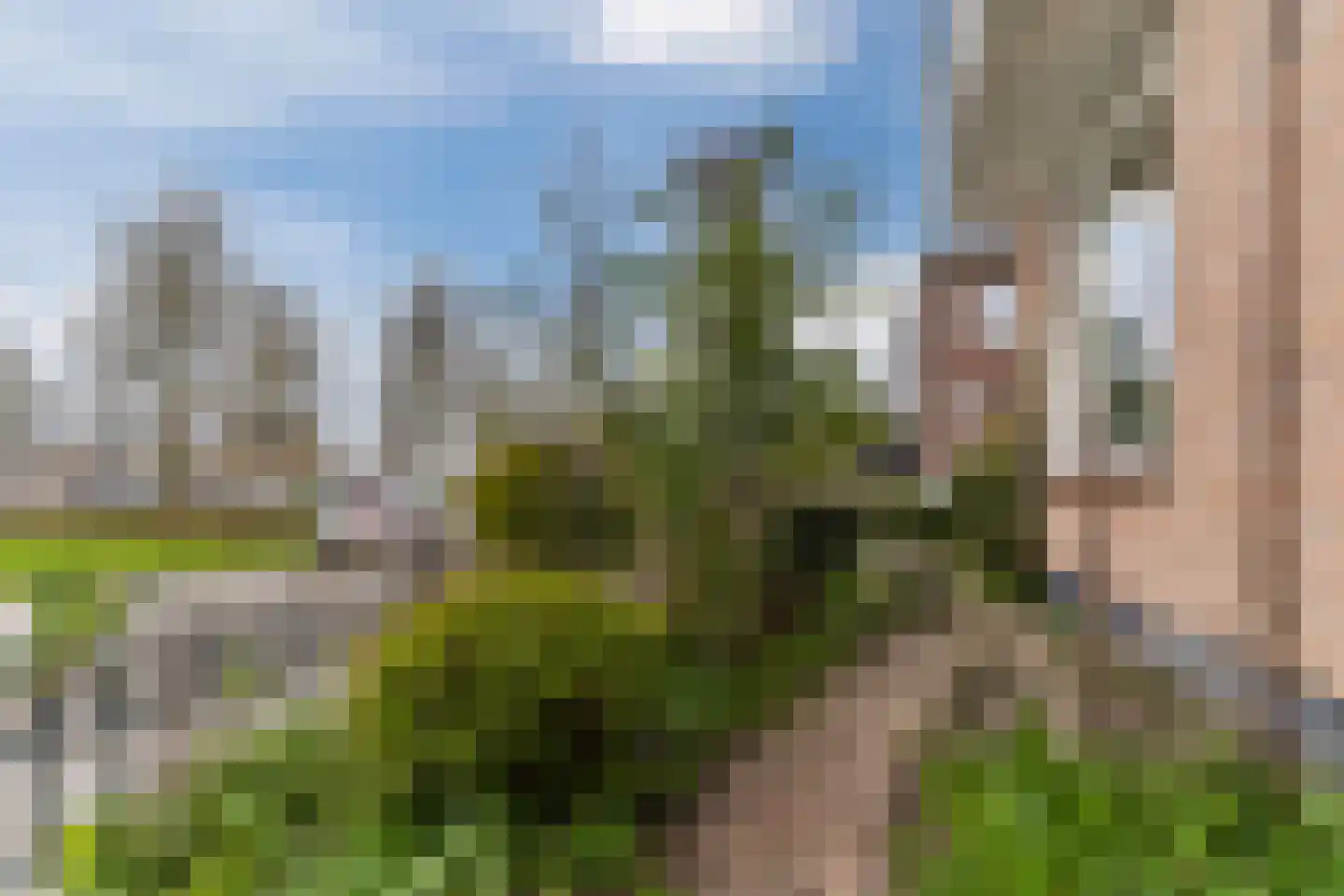 Oosterweidestraat 48 Schermerhorn thumbnail 48
