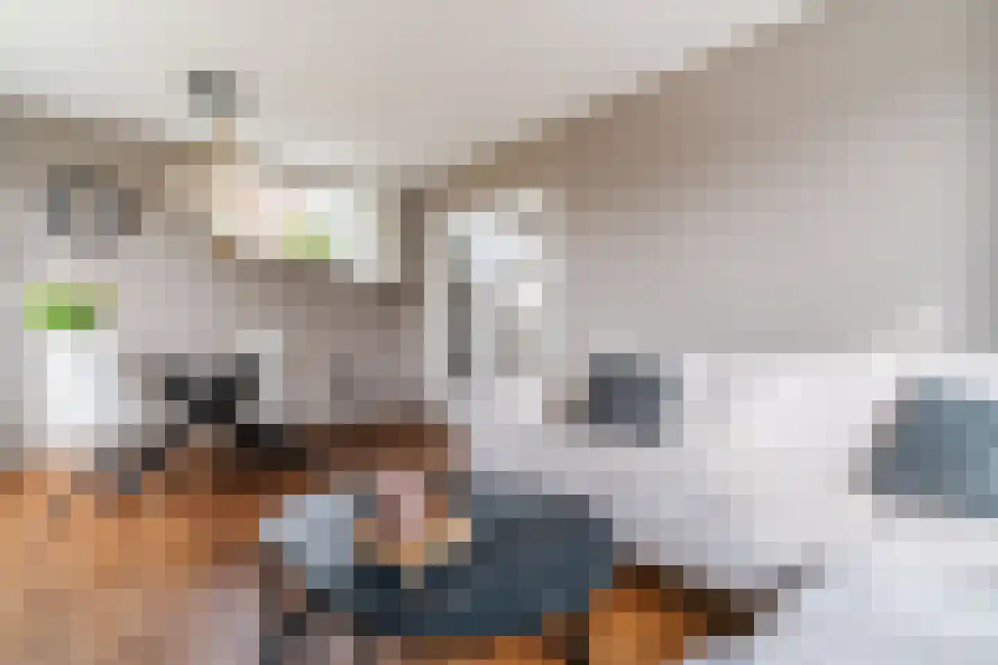Oosterweidestraat 48 Schermerhorn thumbnail 7