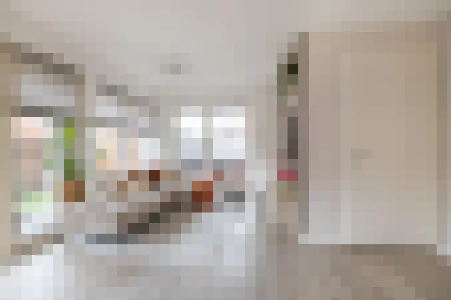 Oosterwerf 2 Zaandam thumbnail 10