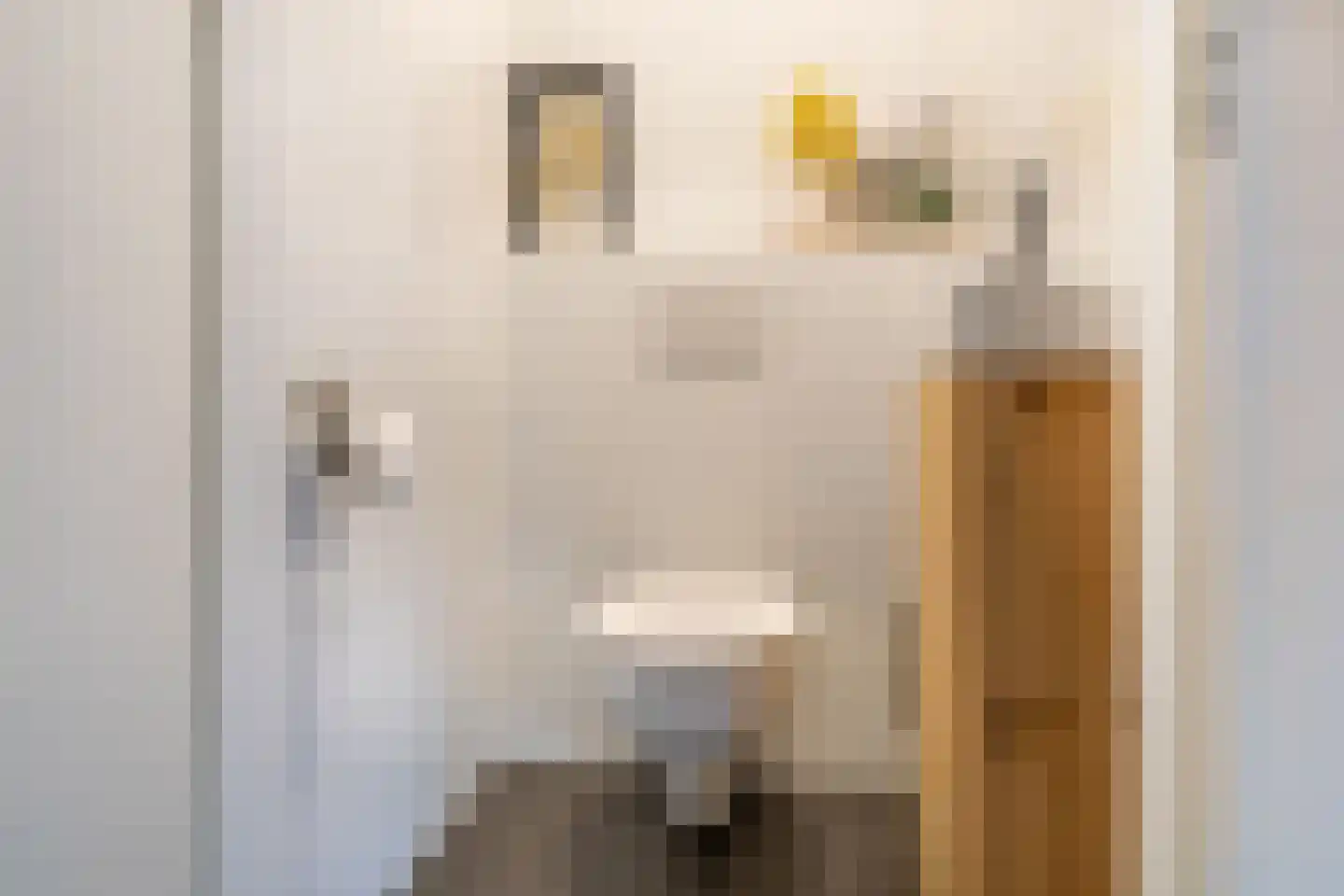 Oosterwerf 2 Zaandam thumbnail 20