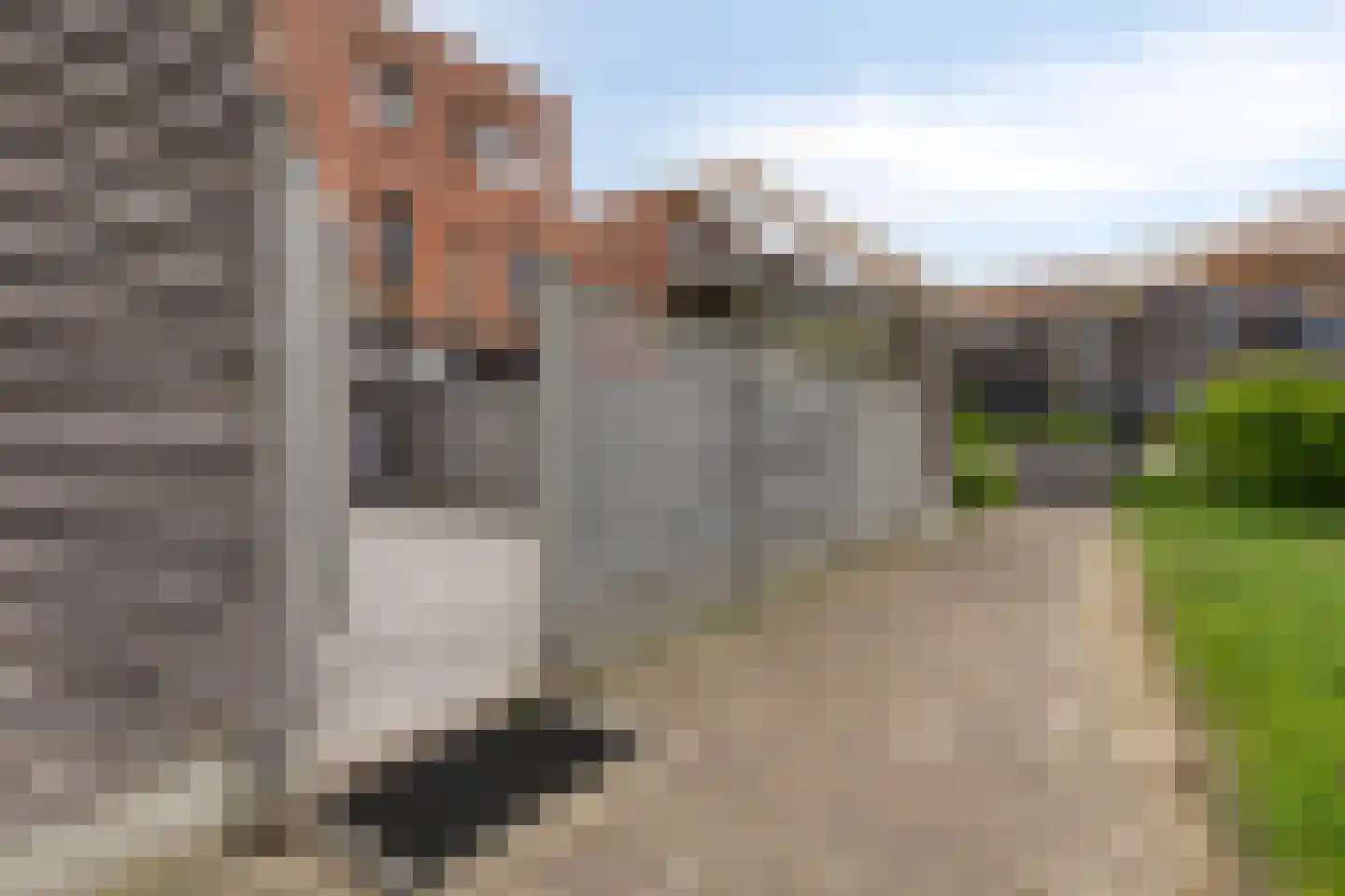 Oosterwerf 22 Zaandam thumbnail 37
