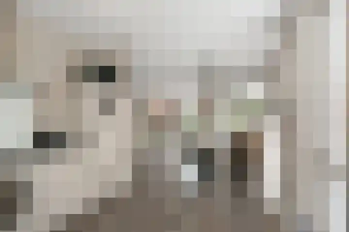 Oosterwerf 25 Zaandam thumbnail 10