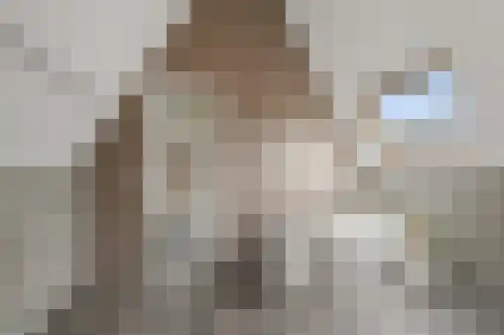 Oosterwerf 25 Zaandam thumbnail 22