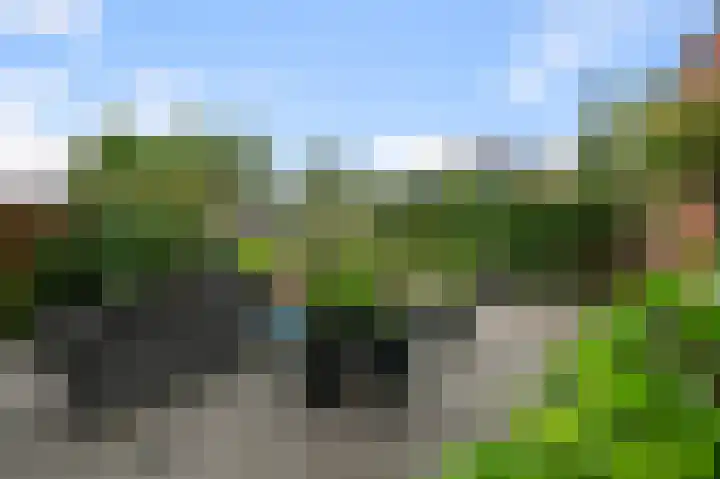 Oosterwerf 25 Zaandam thumbnail 27