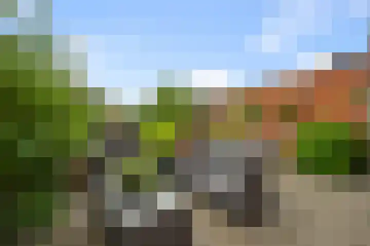 Oosterwerf 25 Zaandam thumbnail 28