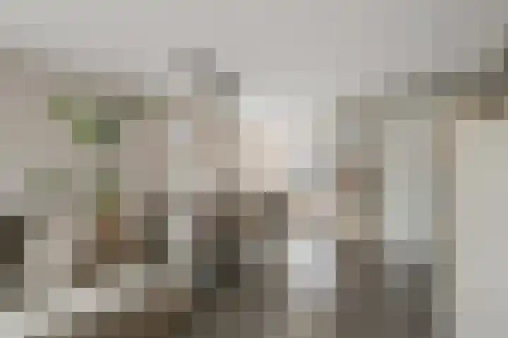 Oosterwerf 25 Zaandam thumbnail 5