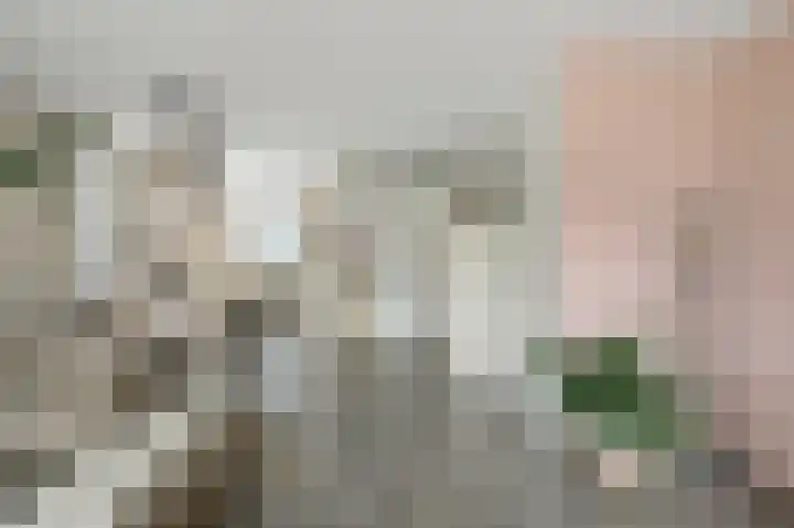 Oosterwerf 25 Zaandam thumbnail 7