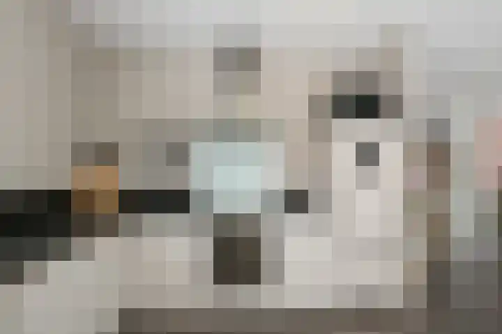 Oosterwerf 25 Zaandam thumbnail 9