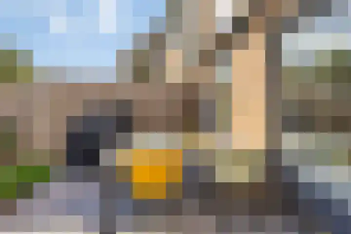 Oosterwerf 30 Gouda thumbnail 10