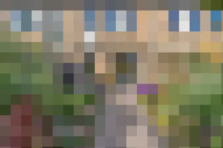 Oosterwerf 30 Gouda thumbnail 12