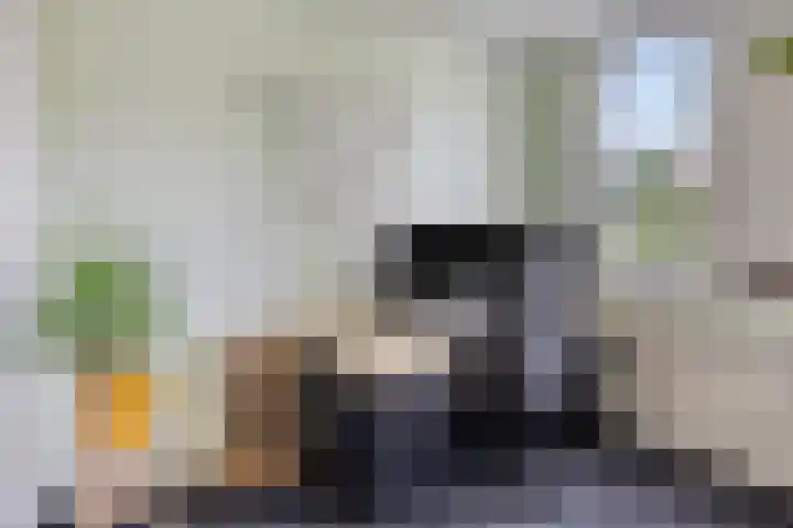 Oosterwerf 30 Gouda thumbnail 17