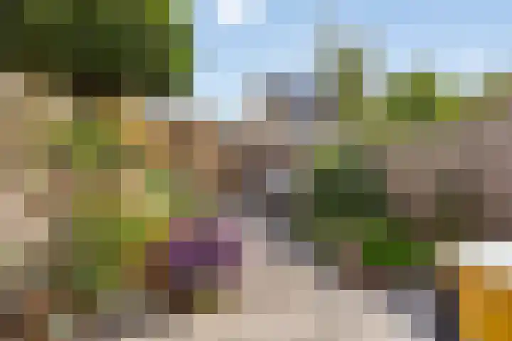 Oosterwerf 30 Gouda thumbnail 4