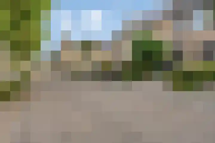 Oosterwerf 30 Gouda thumbnail 6