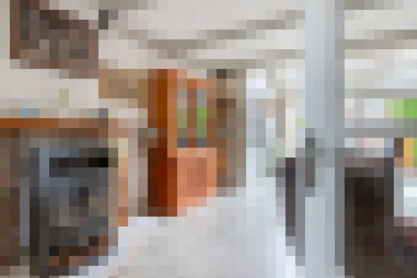 Oosterwerf 58 Gouda thumbnail 10