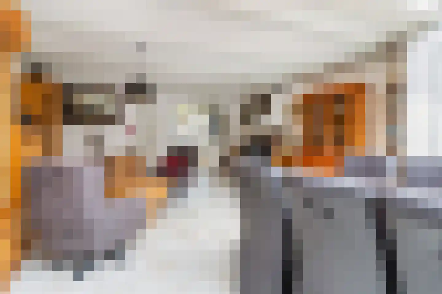 Oosterwerf 58 Gouda thumbnail 17