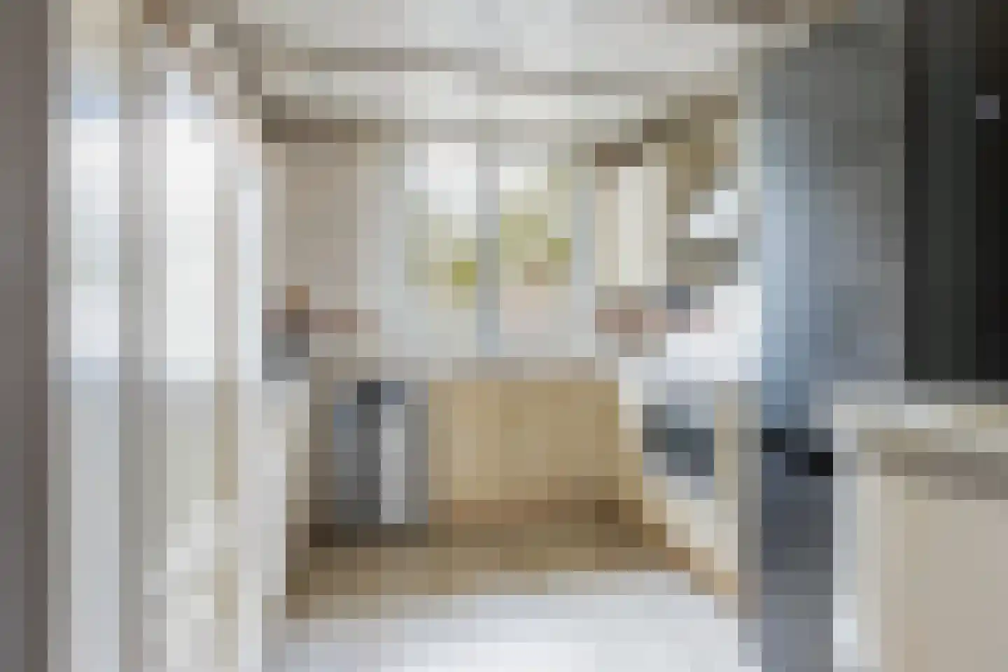 Oosterwerf 58 Gouda thumbnail 22