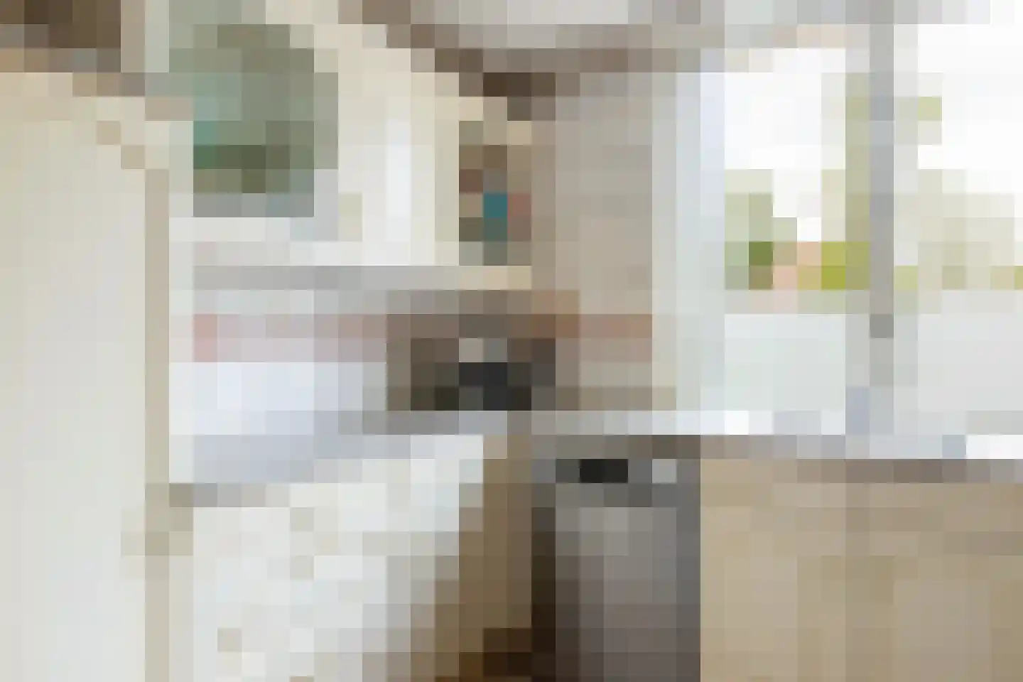 Oosterwerf 58 Gouda thumbnail 23