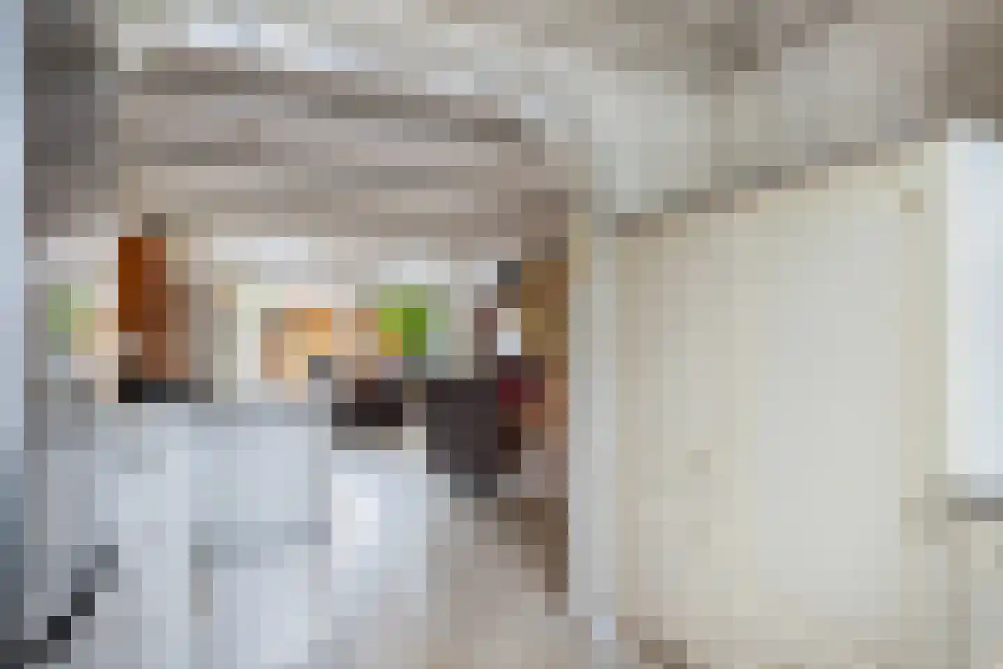 Oosterwerf 58 Gouda thumbnail 25
