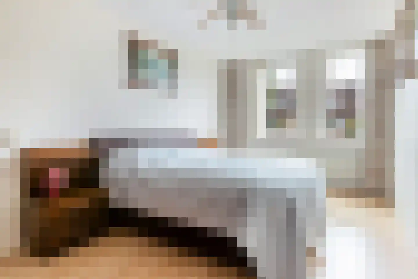 Oosterwerf 58 Gouda thumbnail 29