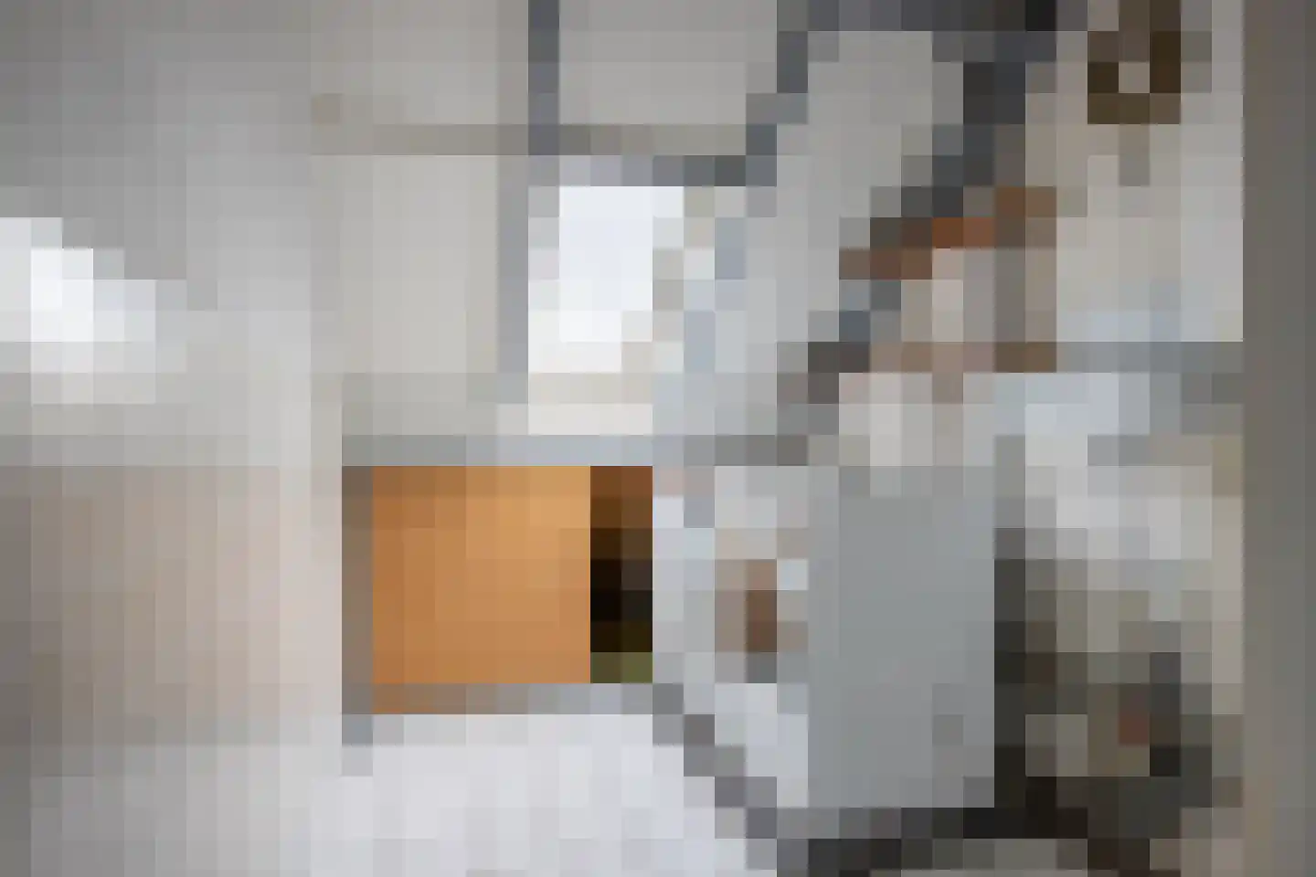 Oosterwerf 58 Gouda thumbnail 41