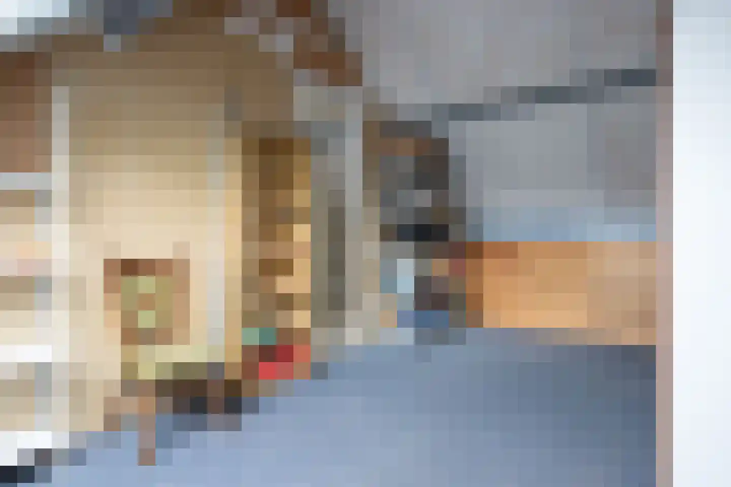 Oosterwerf 58 Gouda thumbnail 46