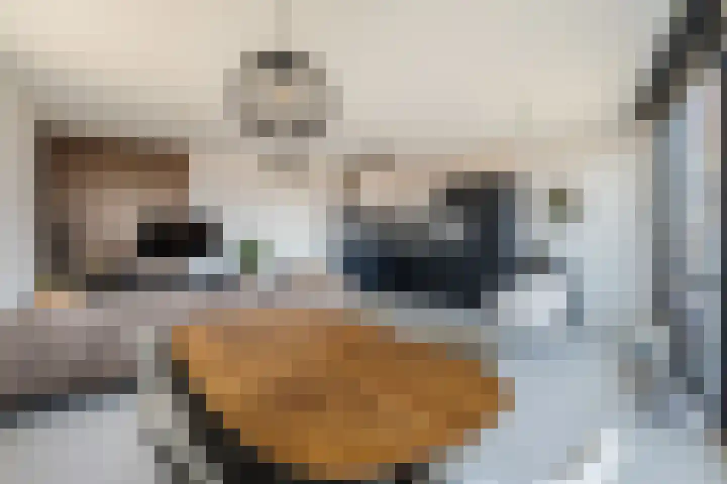 Oosterwerf 70 Zaandam thumbnail 20