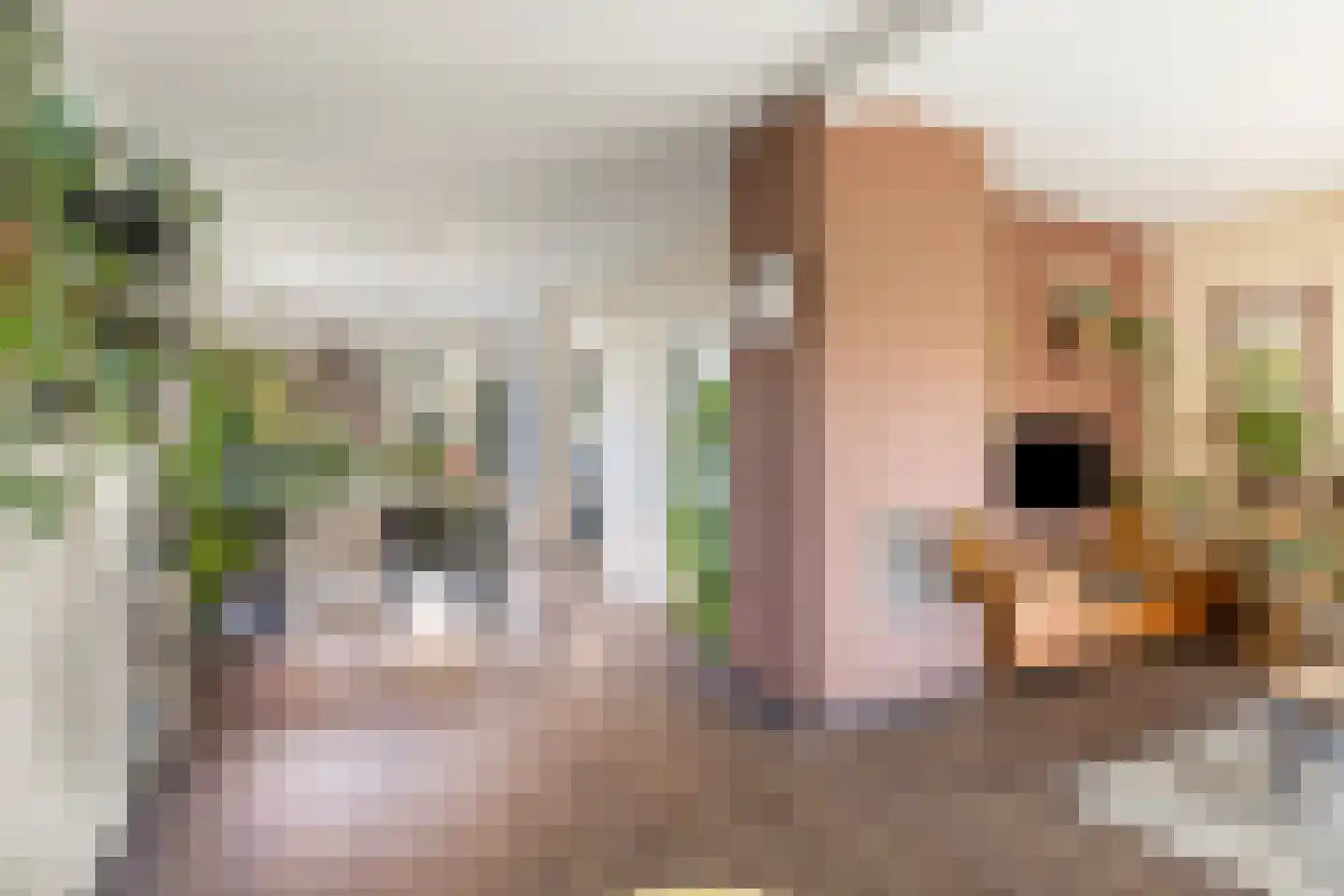Oosterwijklaan 6 Kaatsheuvel thumbnail 11