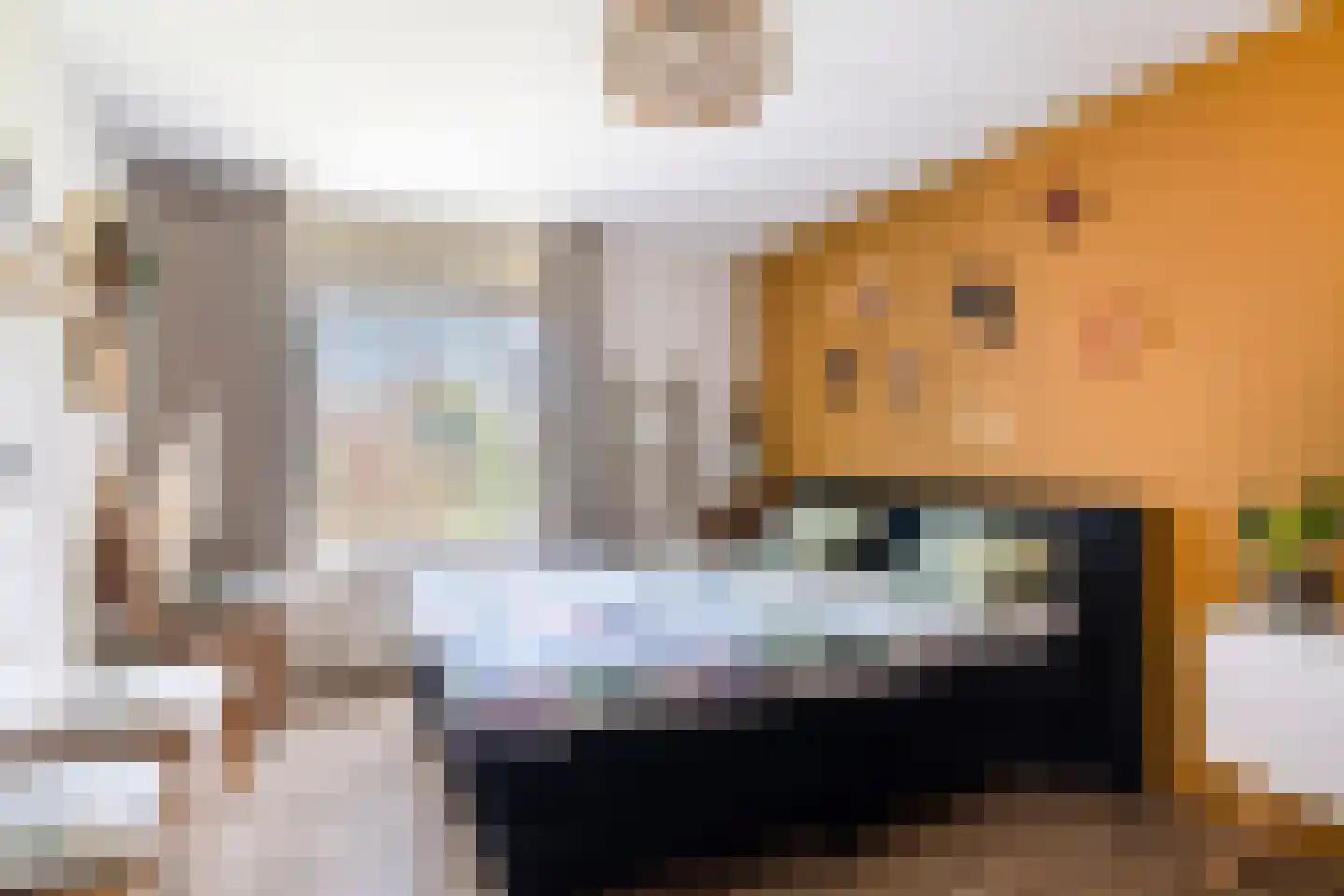 Oosterwijklaan 6 Kaatsheuvel thumbnail 19
