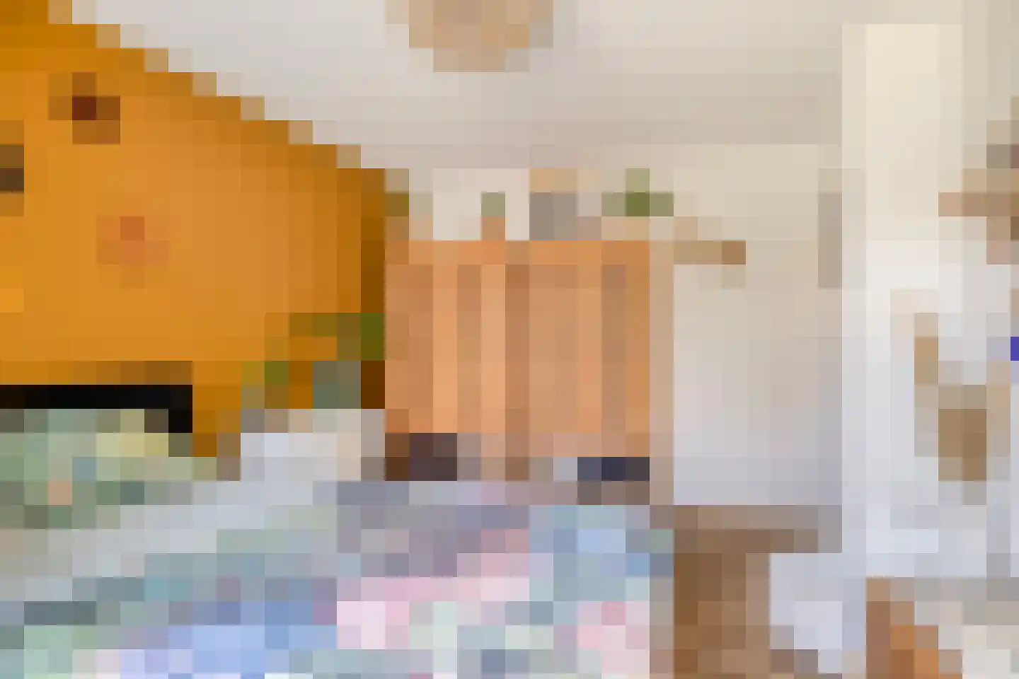 Oosterwijklaan 6 Kaatsheuvel thumbnail 20