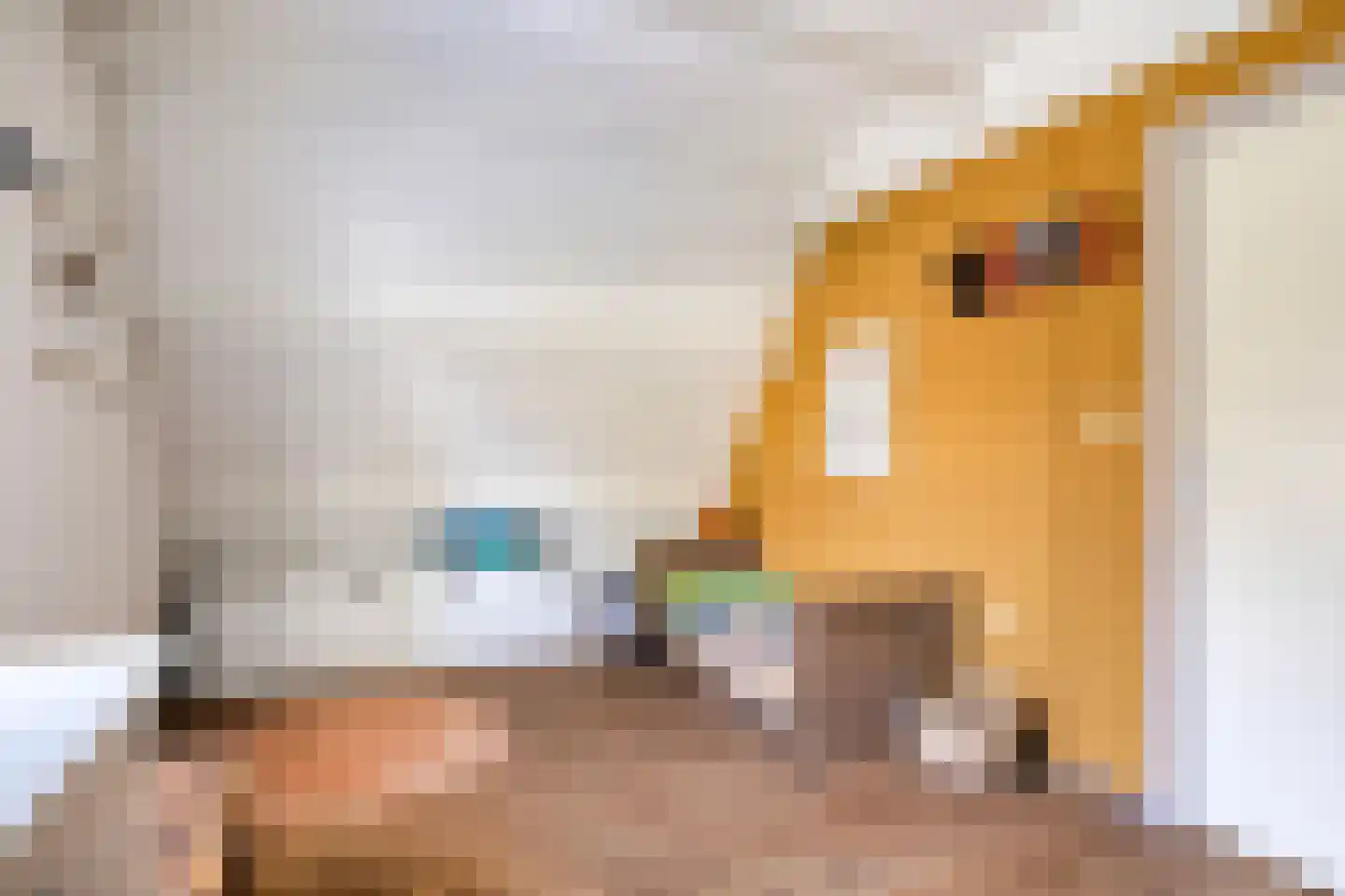 Oosterwijklaan 6 Kaatsheuvel thumbnail 27