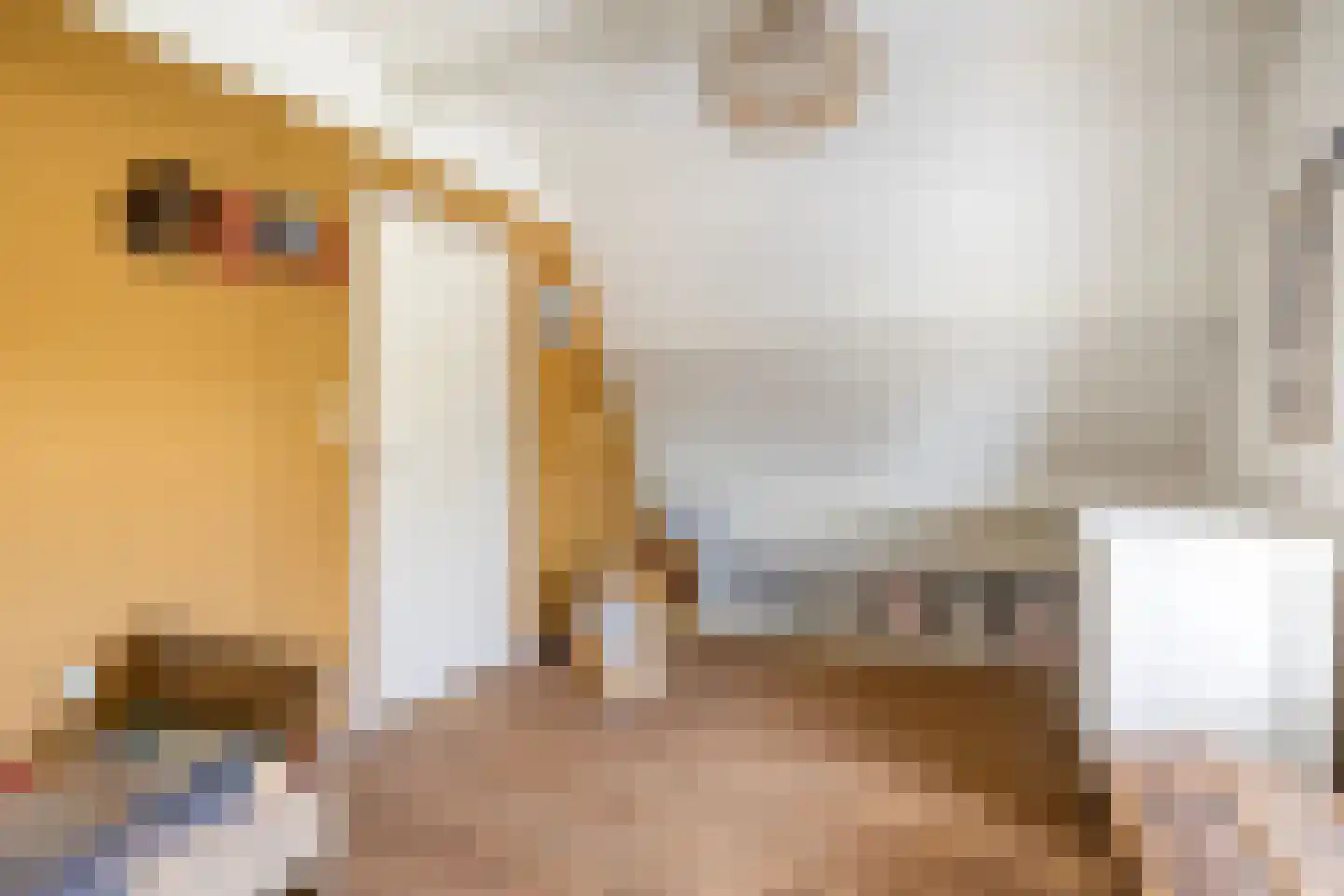 Oosterwijklaan 6 Kaatsheuvel thumbnail 28